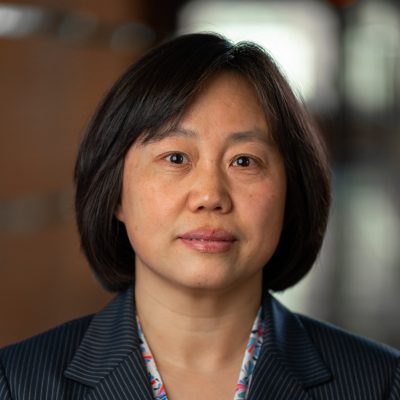 Professor Guiling Wang