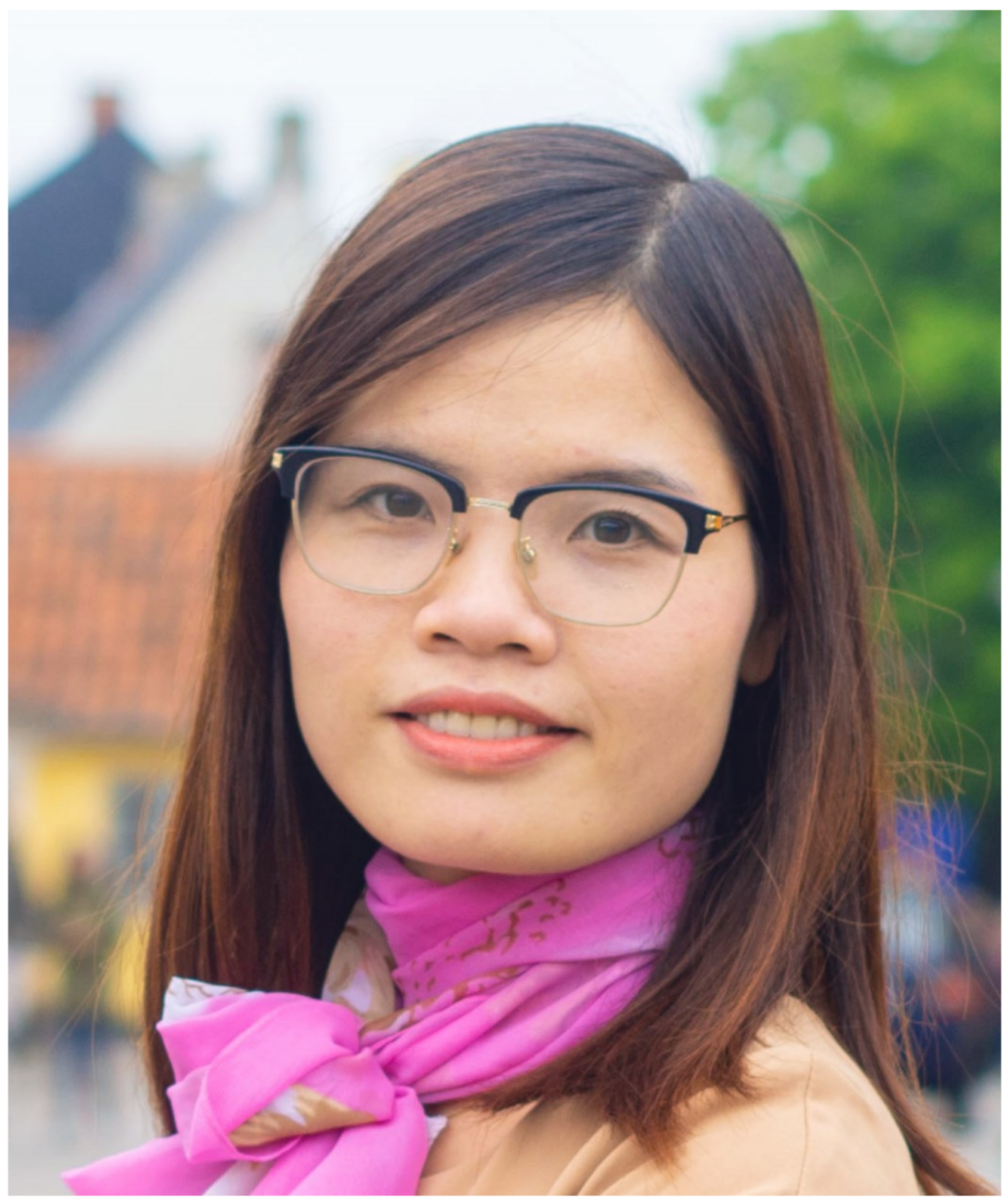 Professor Thi Ha Nguyen